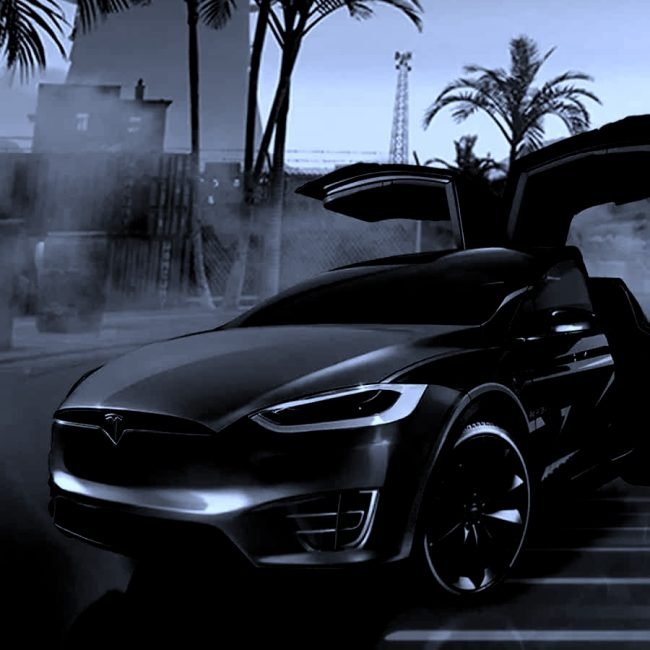 VIP – MODEL X * 6 PASSENGERS